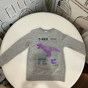 H&M dinosaur sweatshirt